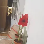 La Maison De Louise *